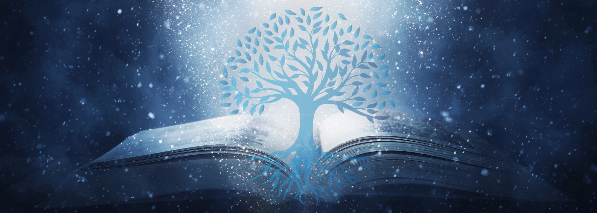 Trinity Hill United Methodist Church